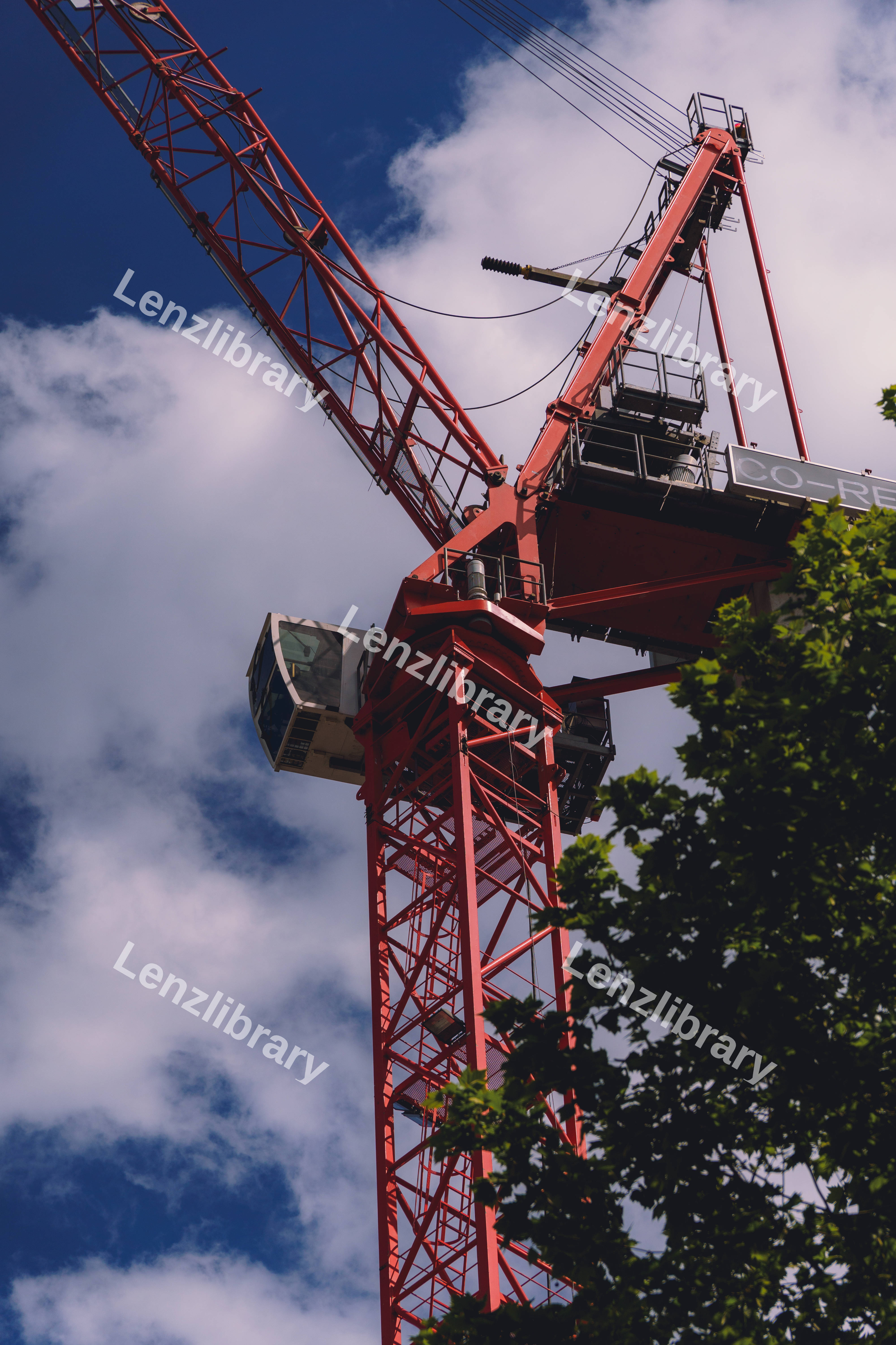 Red Crane